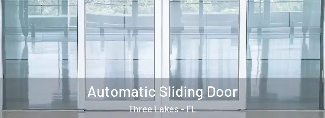 Automatic Sliding Door Three Lakes - FL