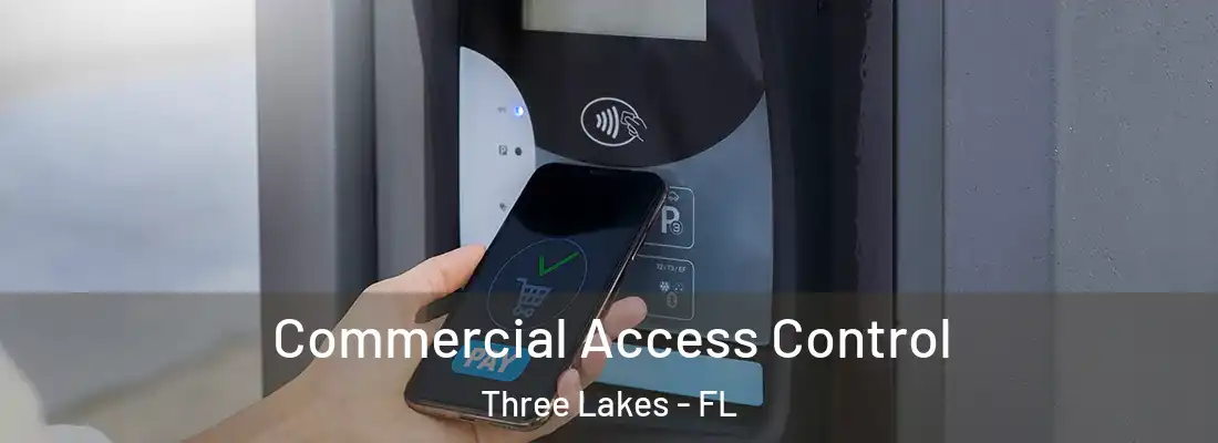 Commercial Access Control Three Lakes - FL