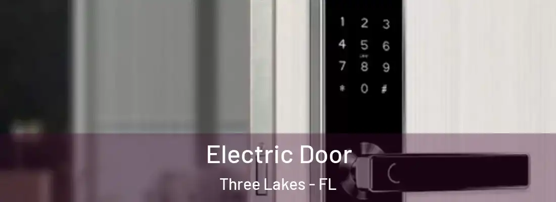 Electric Door Three Lakes - FL