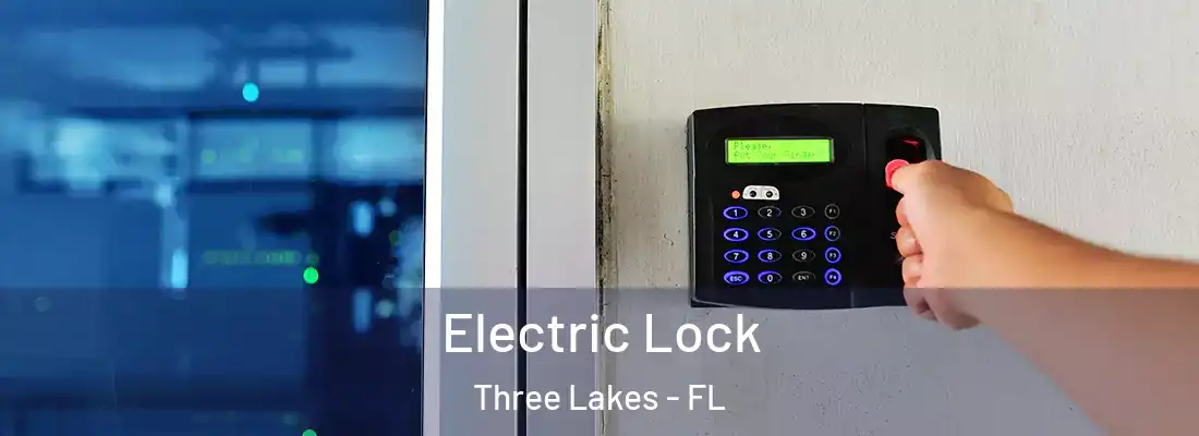 Electric Lock Three Lakes - FL