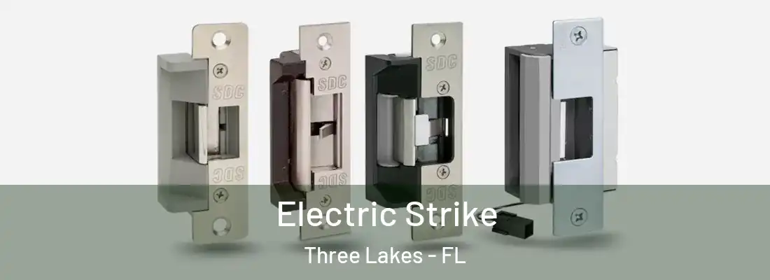 Electric Strike Three Lakes - FL