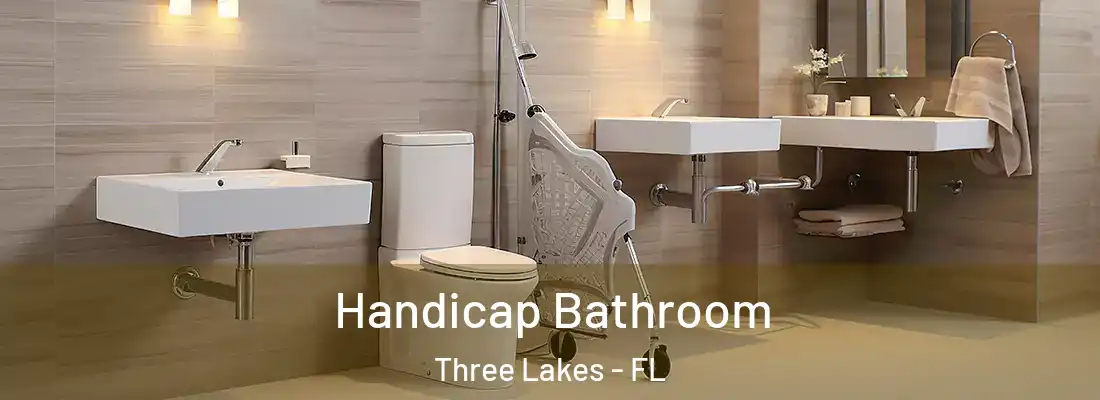 Handicap Bathroom Three Lakes - FL
