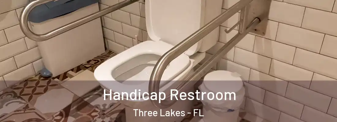 Handicap Restroom Three Lakes - FL