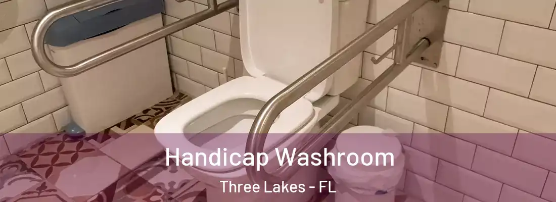 Handicap Washroom Three Lakes - FL