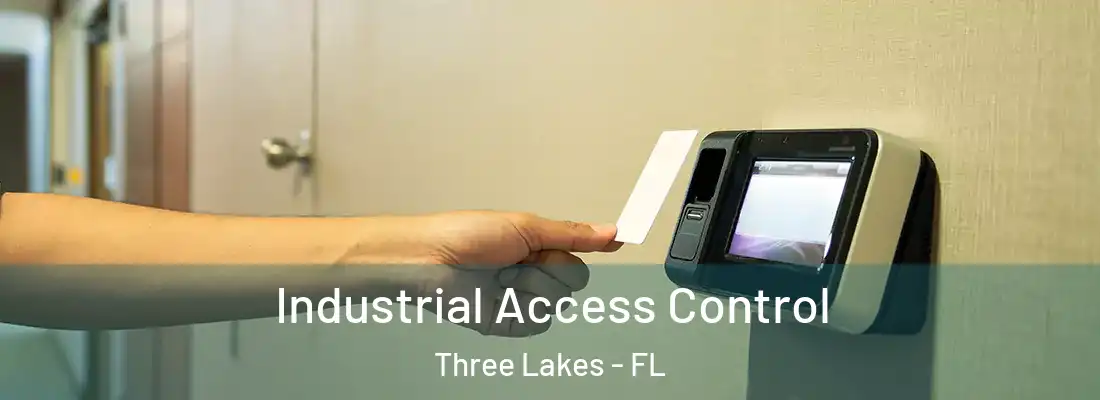 Industrial Access Control Three Lakes - FL