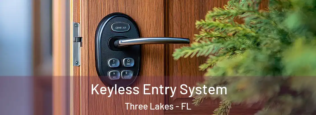 Keyless Entry System Three Lakes - FL