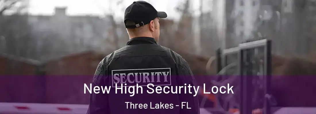 New High Security Lock Three Lakes - FL