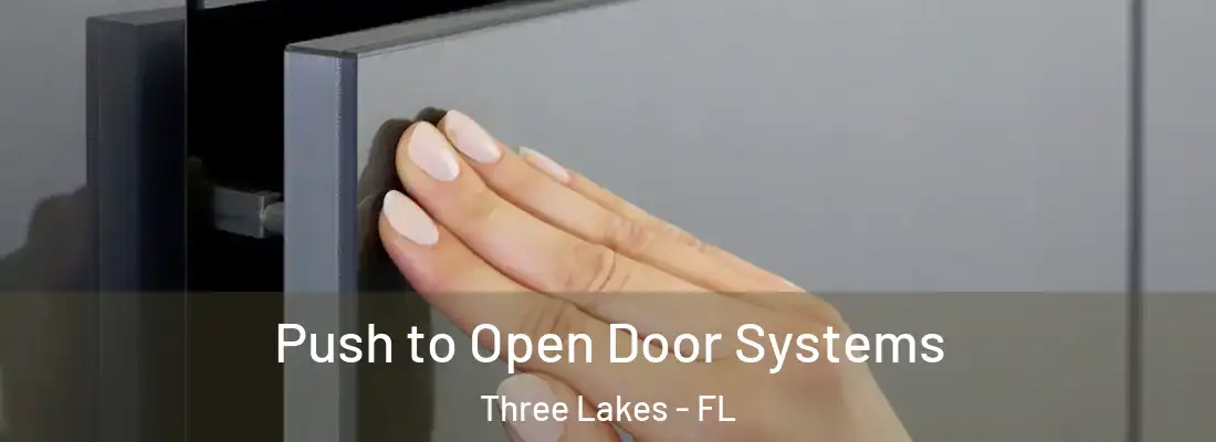  Push to Open Door Systems Three Lakes - FL