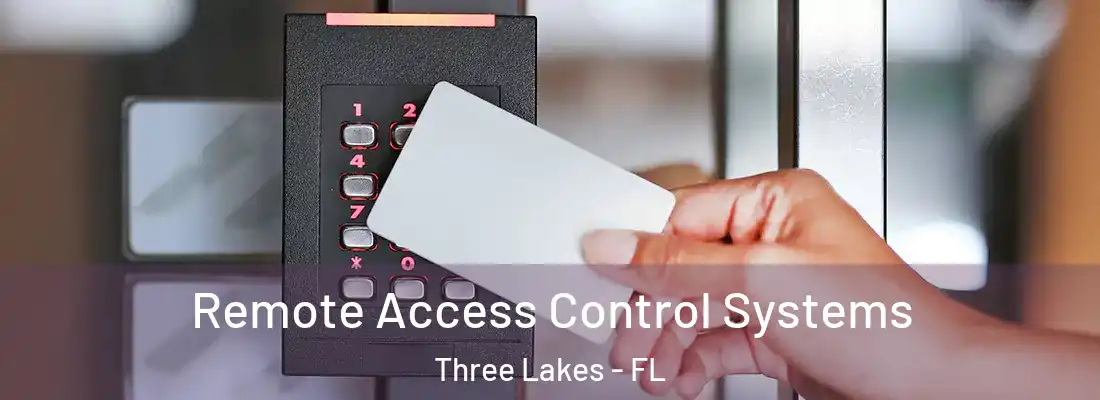 Remote Access Control Systems Three Lakes - FL
