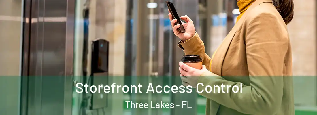 Storefront Access Control Three Lakes - FL